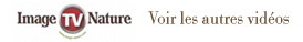 Voir les autre vid�os Image & Nature