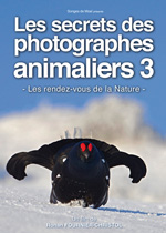 Les secrets des photographes animaliers 3 