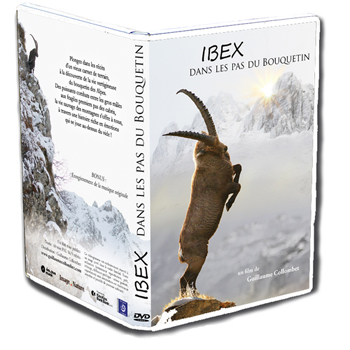 IBEX - Dans les pas du bouquetin