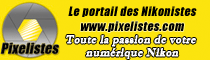 Pixelistes