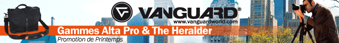 vanguard